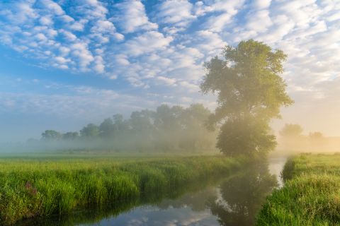 Mist in de Langemeersen