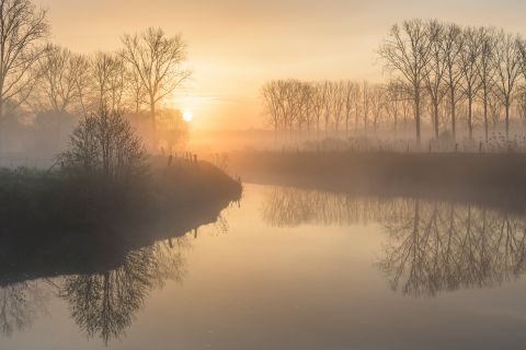 De Dender in tegenlicht
