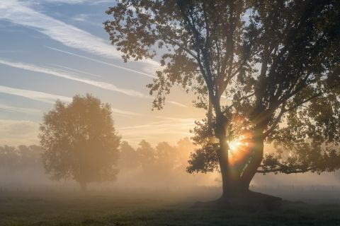 Langemeersen at sunrise