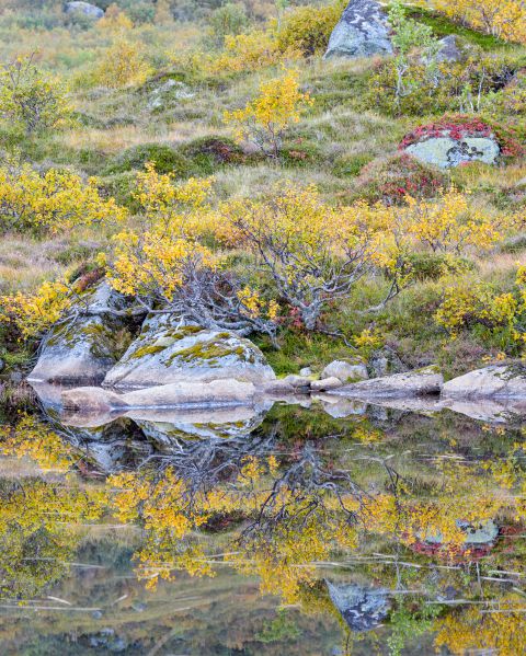 Autumn colours reflecting in lake