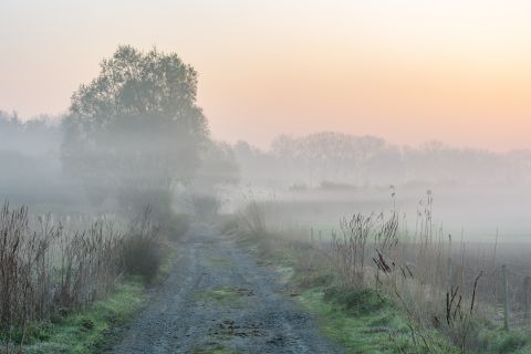 Mistige ochtend in de Reytmeersen