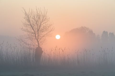 Zonsopgang in de Reytmeersen