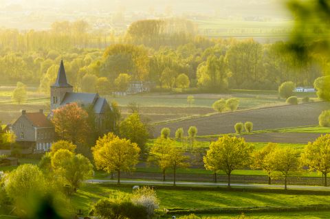 Pink sunrise in the Flemish Ardennes