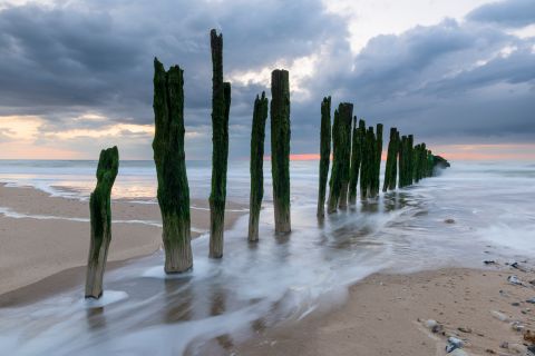 Verweerde palen op het strand