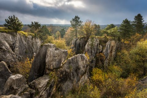 Herfstlandschap op Fondry des Chiens