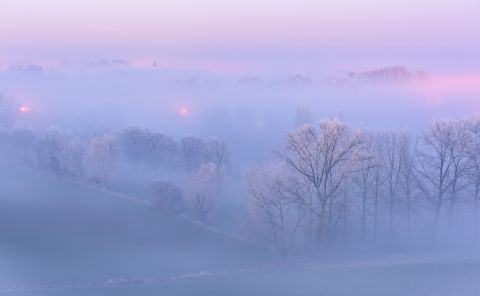 Winterse Vlaamse Ardennen in het blauwe uurtje