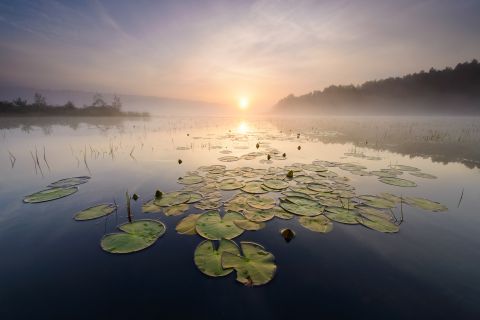 Zonsopgang in de Teut