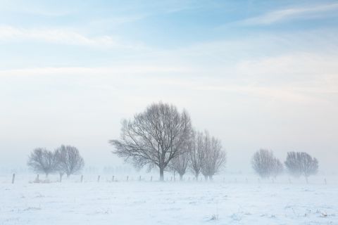 Winter in the Langemeersen