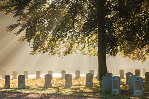 Belgian military cemetery Houthulst